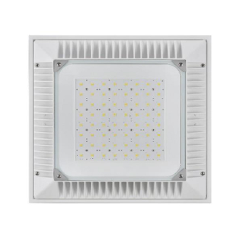 Outdoor LED Canopy high/low bay light