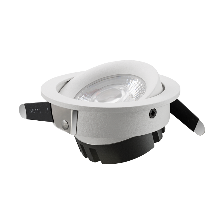 Eco Series Downlight