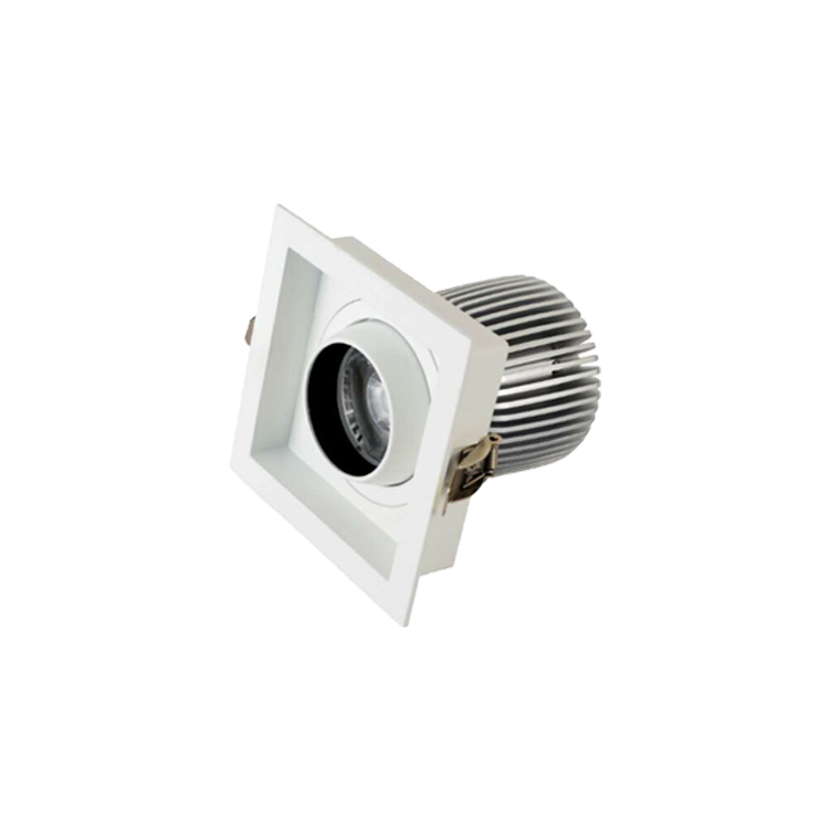 Brik Series Downlight