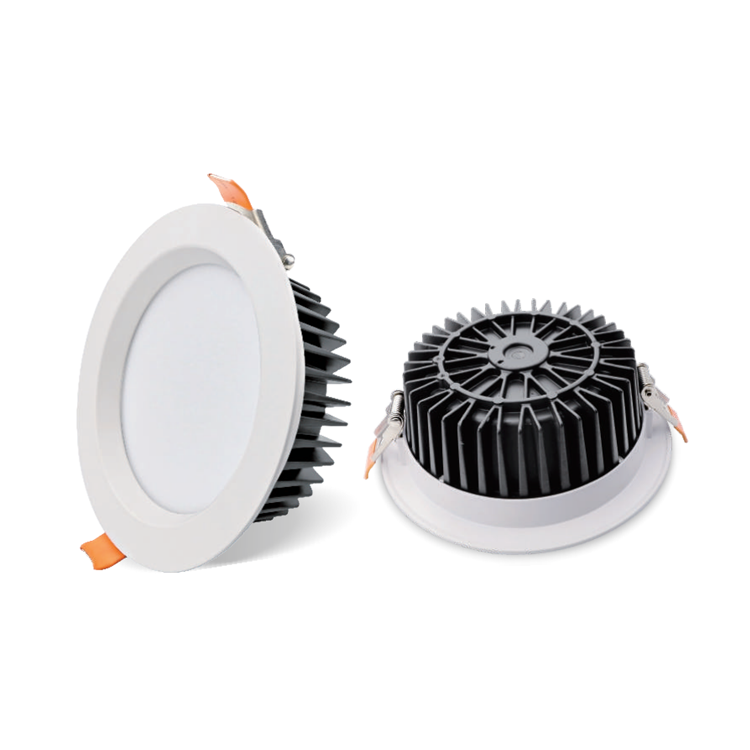 Pana Series Downlight