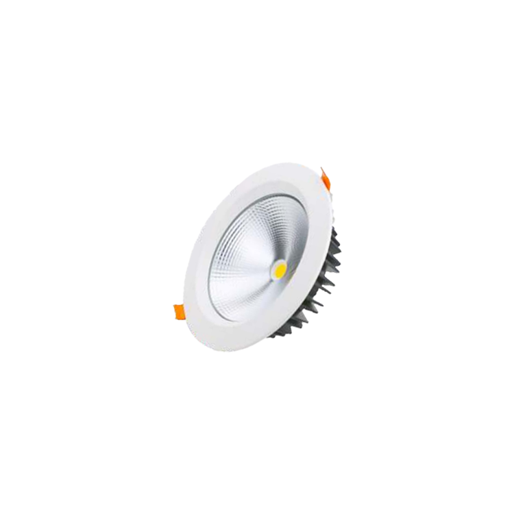 Roof Series Waterproof Downlight